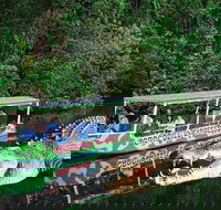 Daintree River Cruise - Accommodation Bookings