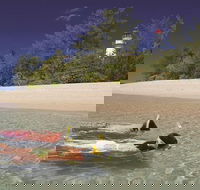 Wavedancer Low Isles Great Barrier Reef Sailing Cruise from Palm Cove - Accommodation Bookings