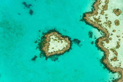 Whitsundays Seaplane Tours - Accommodation Bookings 3