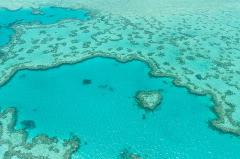 Whitsundays Seaplane Tours - Accommodation Bookings 2