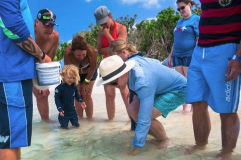 Whitehaven Beach And Hill Inlet Chill And Grill - Accommodation Bookings 1