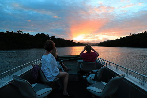 Daintree River Sunset Cruise - Accommodation Bookings 0