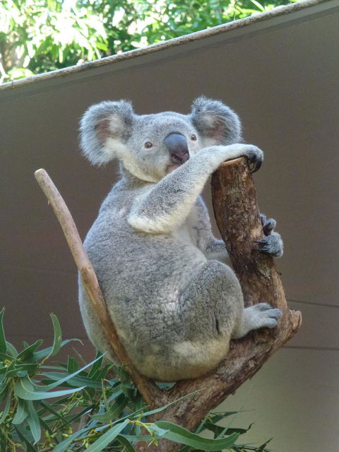 Whitehaven Beach And Hamilton Island Cruise - Accommodation Bookings 6