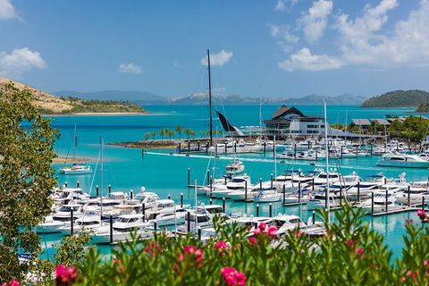 Whitehaven Beach And Hamilton Island Cruise - Accommodation Bookings 10