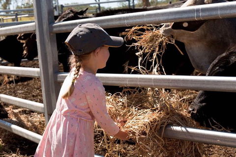 Mackay Farm Food And Flavours Tour - Accommodation Bookings 0