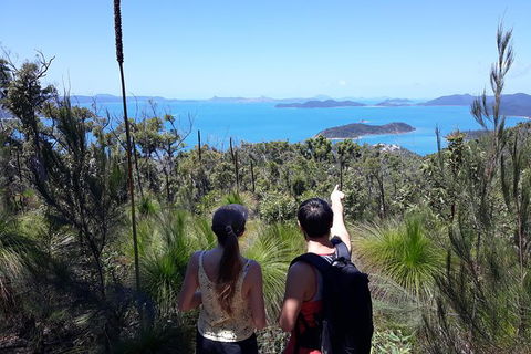 Scenic Guided Walk Up Mt Rooper For Best Whitsunday Views From Airlie Beach - Accommodation Bookings 0