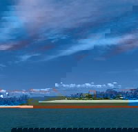 Afternoon Low Isles Snorkeling and Sailing Cruise from Port Douglas - Accommodation Bookings