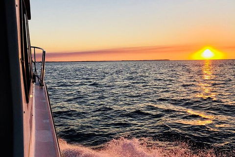 Hervey Bay Whale Swim And Watch - Accommodation Bookings 7