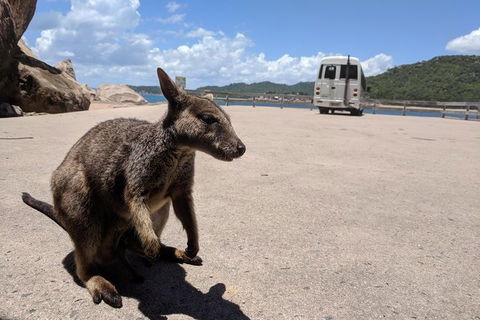 Magnetic Island Tour: Maggie Comprehensive - Accommodation Bookings 0