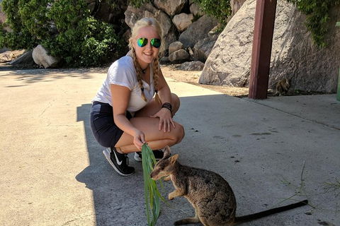 Magnetic Island Tour: Maggie Comprehensive - Accommodation Bookings 9