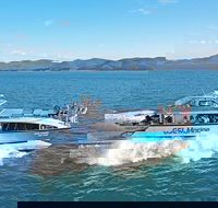 Whitsunday Island Boat Adventure - Accommodation Bookings