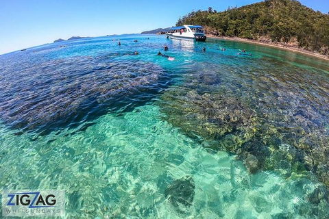 Whitehaven Beach Day Tour With Snorkel In Whitsundays Island - Accommodation Bookings 8