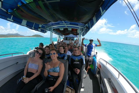 Whitehaven Beach Day Tour With Snorkel In Whitsundays Island - Accommodation Bookings 15