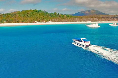 Whitehaven Beach Day Tour With Snorkel In Whitsundays Island - Accommodation Bookings 14
