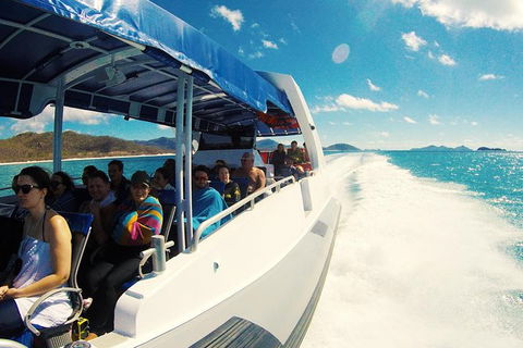 Whitehaven Beach Day Tour With Snorkel In Whitsundays Island - Accommodation Bookings 21