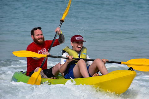 Half-Day Kayak With Dolphins And 4WD Beach Drive From Rainbow Beach - Accommodation Bookings 8