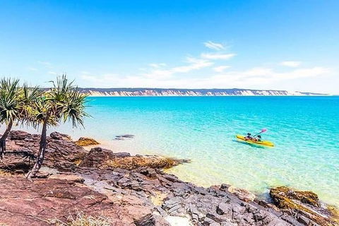 Half-Day Kayak With Dolphins And 4WD Beach Drive From Rainbow Beach - Accommodation Bookings 5