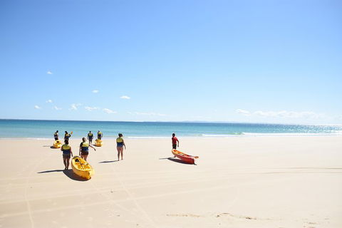 Half-Day Kayak With Dolphins And 4WD Beach Drive From Rainbow Beach - Accommodation Bookings 10