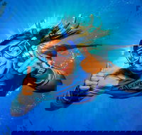 Calypso Outer Great Barrier Reef Cruise from Port Douglas - Accommodation Bookings