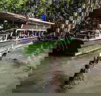 Hartley's Crocodile Adventures Day Trip from Palm Cove - Accommodation Bookings