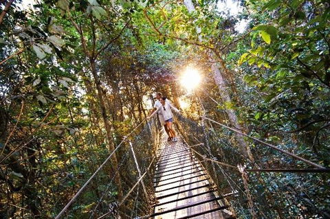 O'Reilly's Lamington National Park And Treetop Canopy Tour - Accommodation Bookings 0