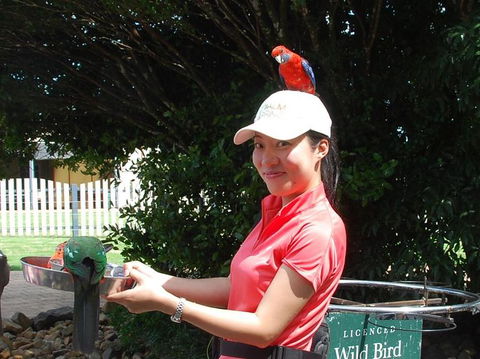 O'Reilly's Lamington National Park And Treetop Canopy Tour - Accommodation Bookings 5