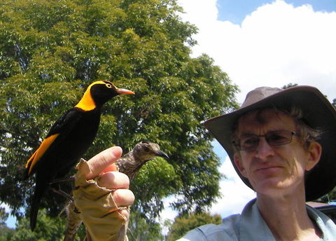 O'Reilly's Lamington National Park And Treetop Canopy Tour - Accommodation Bookings 4