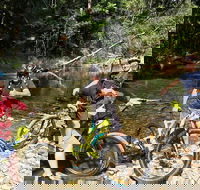 Electric Mountain Bike Rainforest Eco Tour - Accommodation Bookings