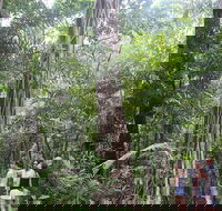 Sightseeing Tour - Half Day - Accommodation Bookings