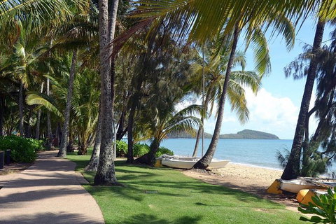 Palm Cove, Clifton Beach, Kewarra Beach To/from Cairns - Accommodation Bookings 0