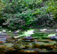 Mossman Silky Oaks to/from Cairns - Accommodation Bookings