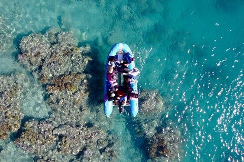 Glass-bottom Boat Tour With Whitehaven Beach - Accommodation Bookings 0