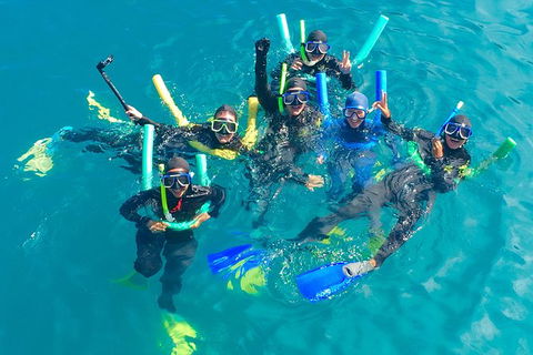 Glass-bottom Boat Tour With Whitehaven Beach - Accommodation Bookings 1