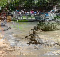 Hartley's Crocodile Adventures General Entry Ticket - Accommodation Bookings