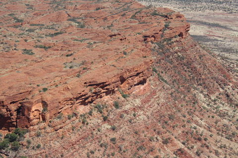 Kings Canyon Day Trip From Ayers Rock - Accommodation Bookings 7