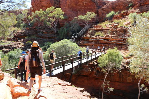 Kings Canyon Day Trip From Ayers Rock - Accommodation Bookings 19