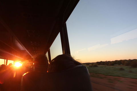 Kings Canyon Day Trip From Ayers Rock - Accommodation Bookings 22