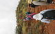 Kings Canyon Day Trip From Ayers Rock - thumb 14