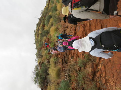 Kings Canyon Day Trip From Ayers Rock - Accommodation Bookings 14
