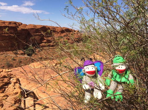 Kings Canyon Day Trip From Ayers Rock - Accommodation Bookings 23