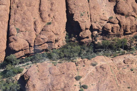 Kings Canyon Day Trip From Ayers Rock - Accommodation Bookings 5