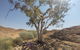 Kings Canyon Day Trip From Ayers Rock - thumb 3