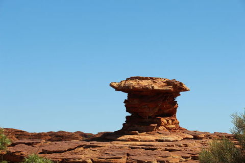 Kings Canyon Day Trip From Ayers Rock - Accommodation Bookings 17