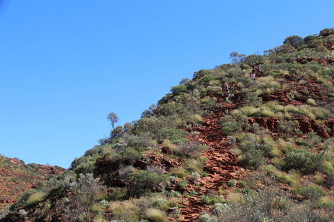 Kings Canyon Day Trip From Ayers Rock - Accommodation Bookings 21