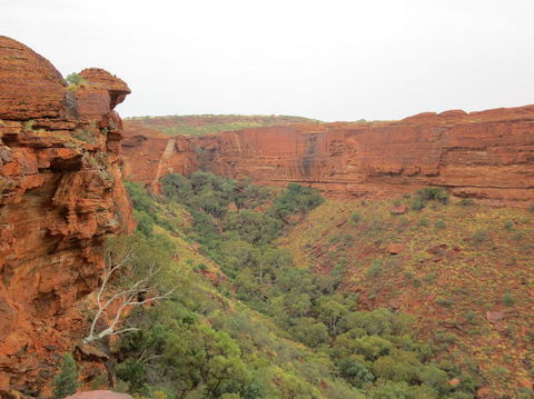 Kings Canyon Day Trip From Ayers Rock - Accommodation Bookings 13