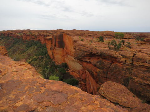 Kings Canyon Day Trip From Ayers Rock - Accommodation Bookings 10