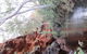 Kings Canyon Day Trip From Ayers Rock - thumb 11