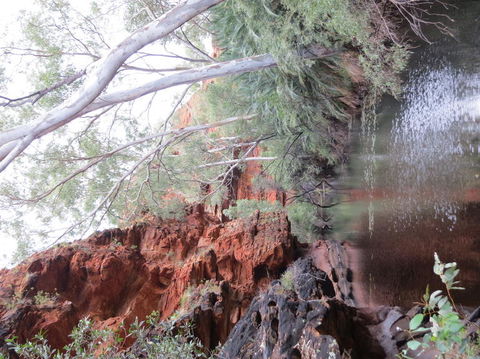 Kings Canyon Day Trip From Ayers Rock - Accommodation Bookings 11