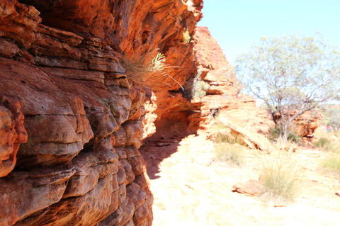 Kings Canyon Day Trip From Ayers Rock - Accommodation Bookings 20