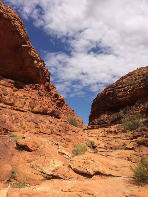 Kings Canyon Day Trip From Ayers Rock - Accommodation Bookings 25